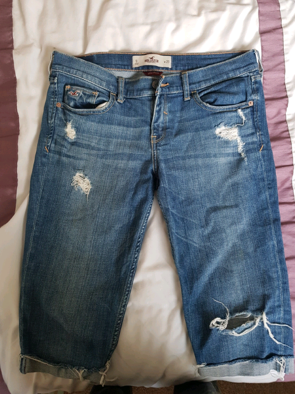 somerset hollister